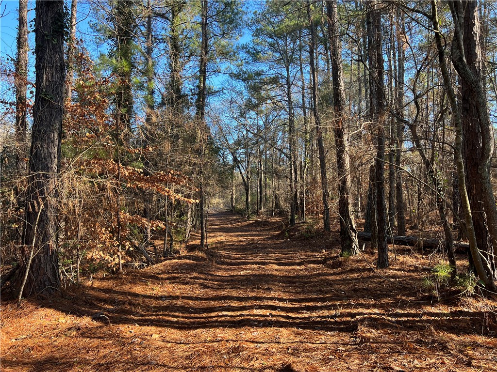 903 Dunklin Bridge Road Fountain Inn, SC 29644 - Photo 5 of 32