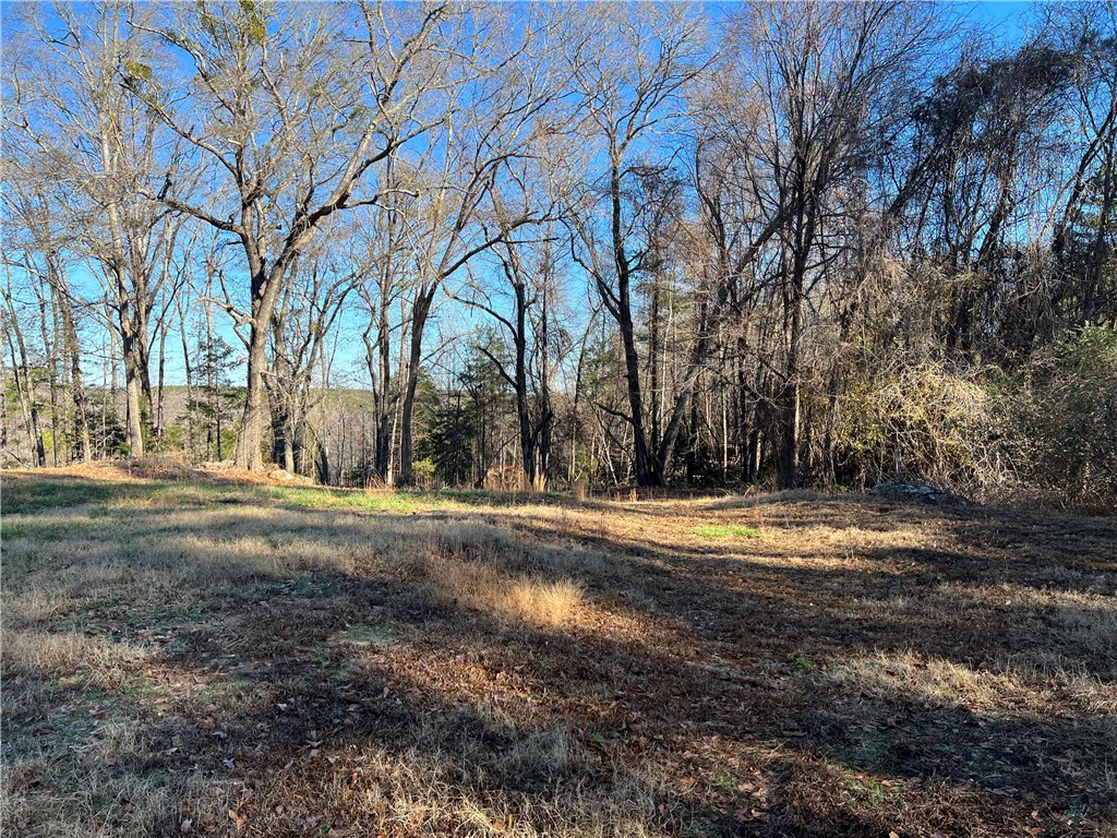 903 Dunklin Bridge Road Fountain Inn, SC 29644 - Photo 6 of 32