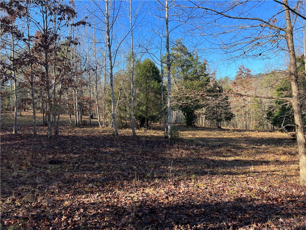 903 Dunklin Bridge Road Fountain Inn, SC 29644 - Photo 8 of 32
