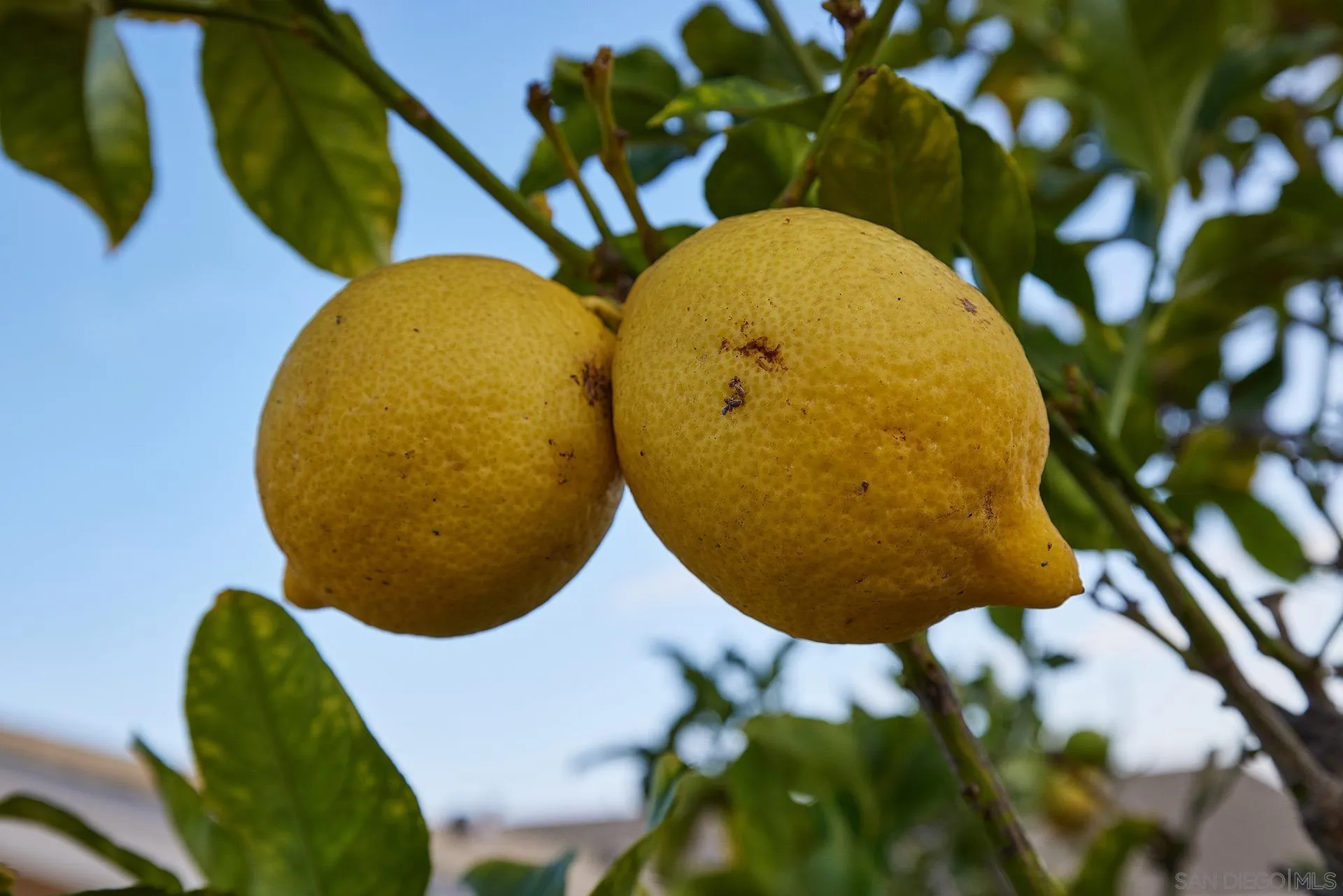 5560 Moonlight Lane La Jolla, CA 92037 - Photo 42 of 48 a view of a tub