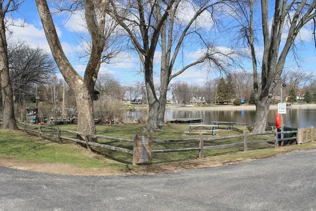 a view of backyard with large tree