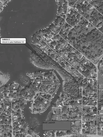 a view of lot of trees