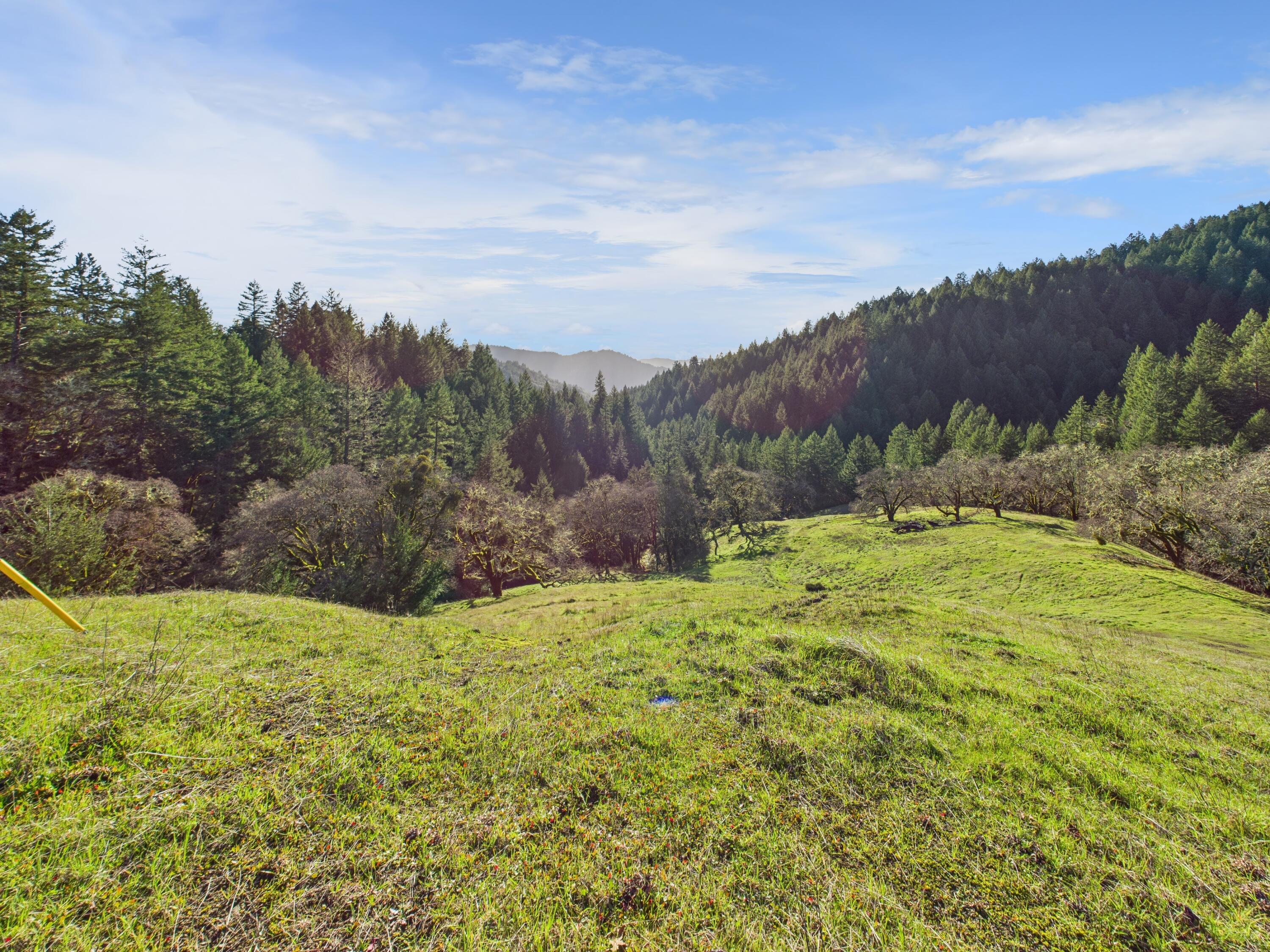 4808 Bell Springs Road Garberville, CA 95542 - Photo 4 of 27