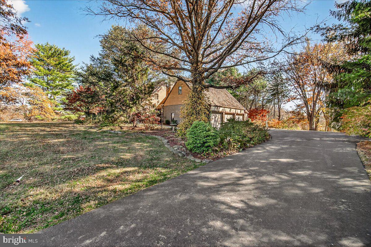 6400 Griffith Road Gaithersburg, MD 20882 - Photo 50 of 70 a view of road with large trees