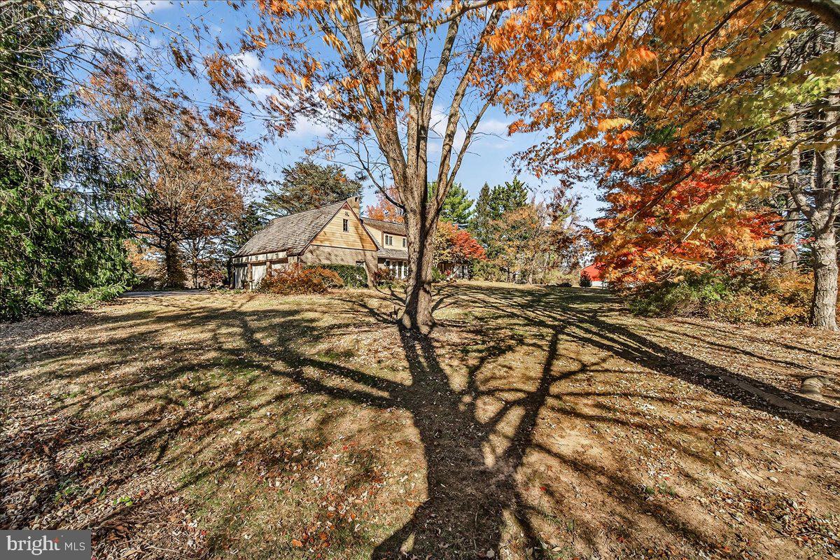 6400 Griffith Road Gaithersburg, MD 20882 - Photo 53 of 70 a view of mountain view with lot of trees