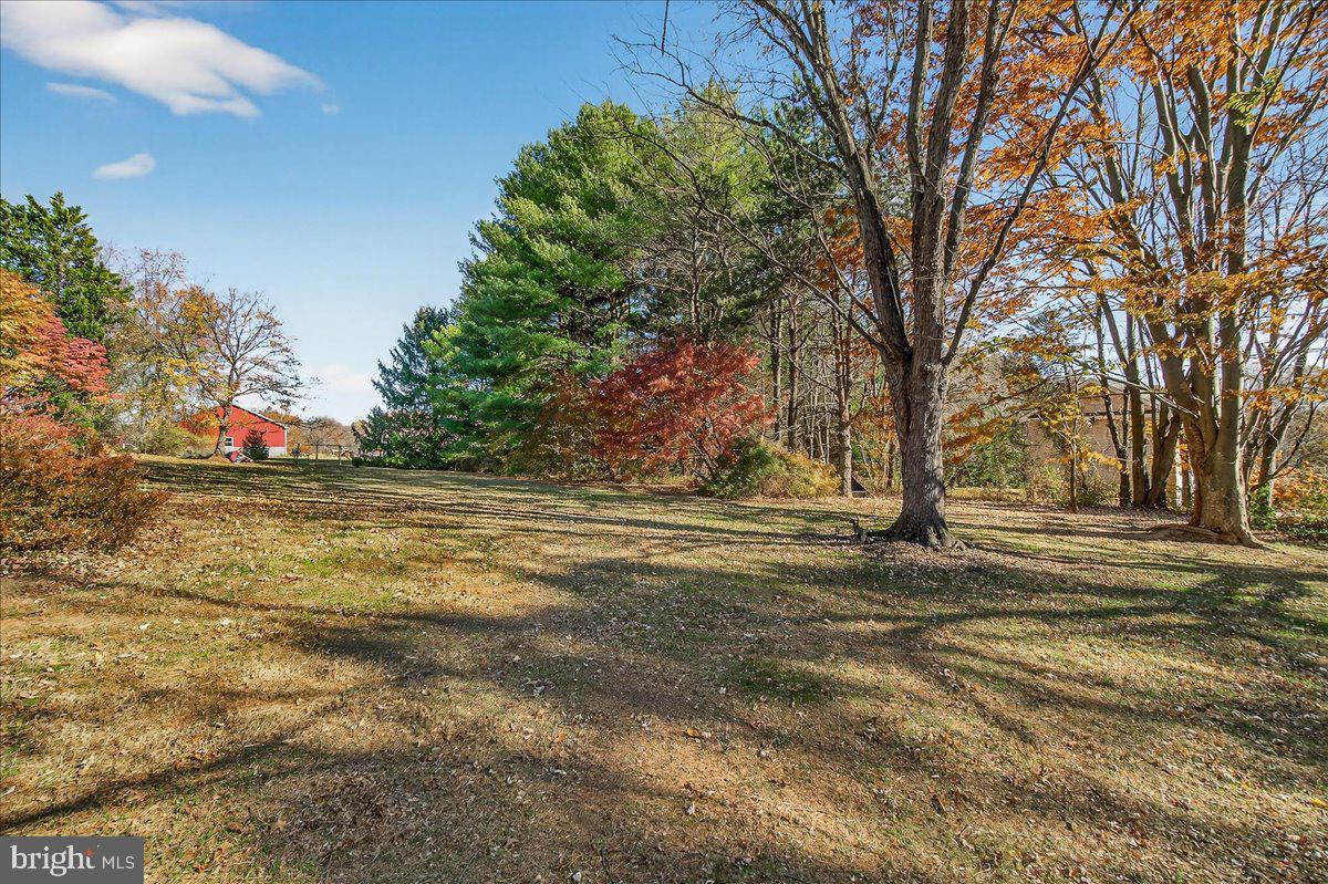 6400 Griffith Road Gaithersburg, MD 20882 - Photo 54 of 70 Beautiful view of side-rear yard