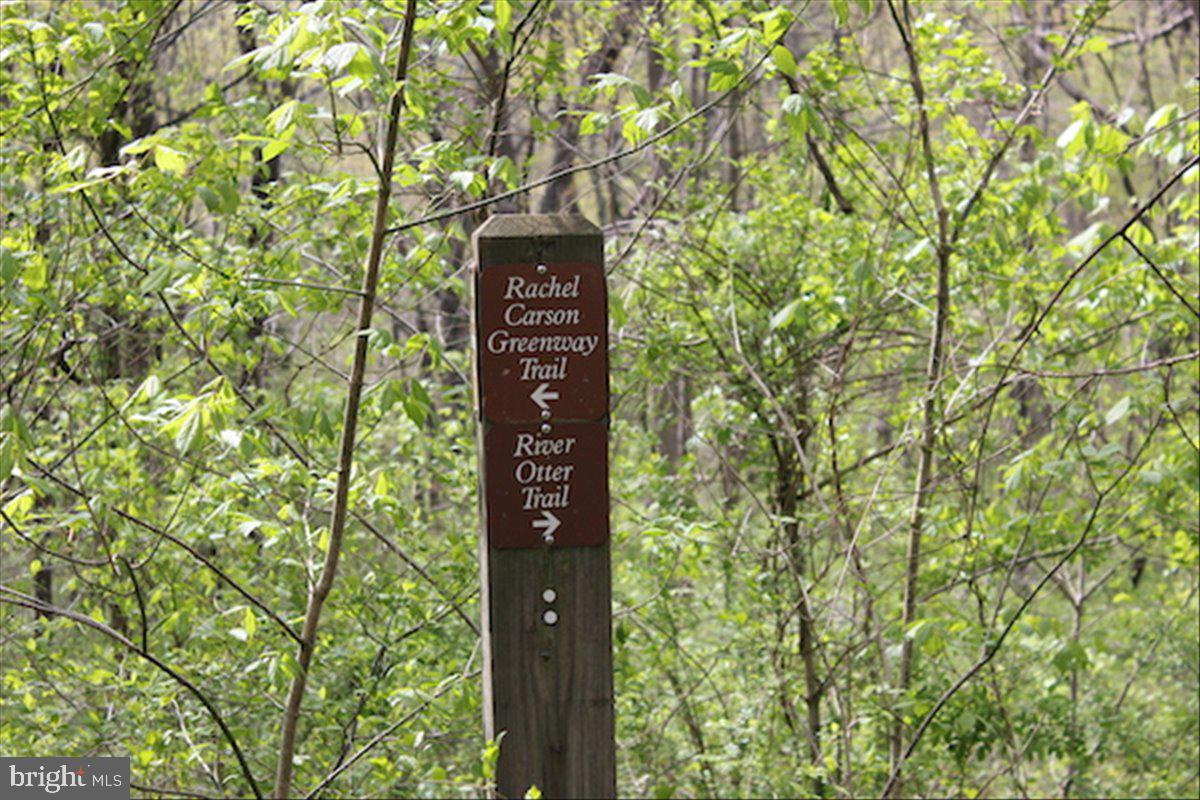 6400 Griffith Road Gaithersburg, MD 20882 - Photo 67 of 70 a sign of golf club on a tree