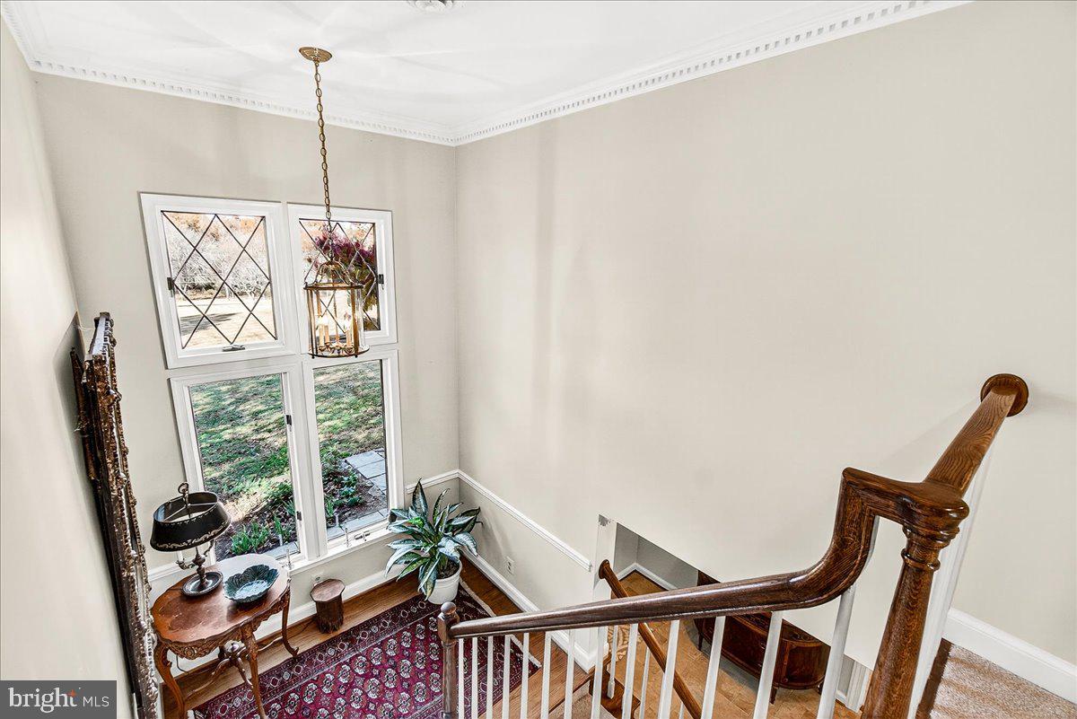 6400 Griffith Road Gaithersburg, MD 20882 - Photo 9 of 70 Grand Stairway with landing & viewing window