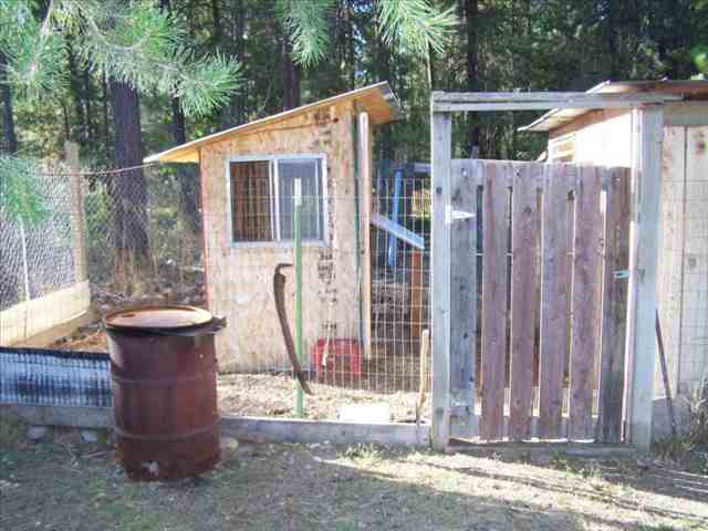 4226 Cemetery Road Springdale, WA 99173 - Photo 9 of 9