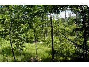 Lot 79-2 Middle Road Deerfield, NH 03037 - Photo 3 of 3