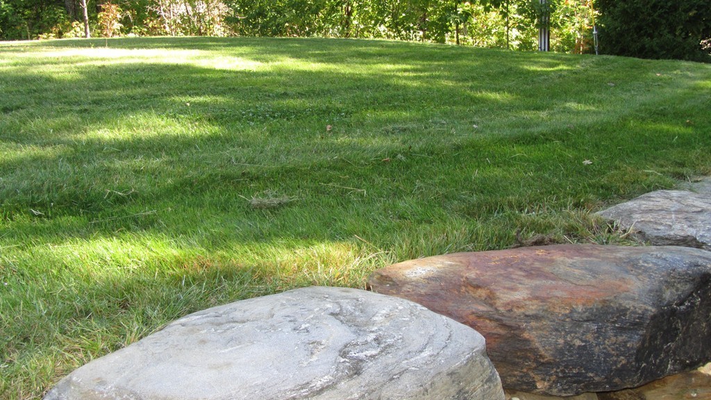 194 Turkey Hill Road Rutland, MA 01543 - Photo 15 of 20 a view of a trees with a yard