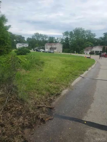 $20,000 | 3905 Max-Weich Place, Florissant, MO 63033