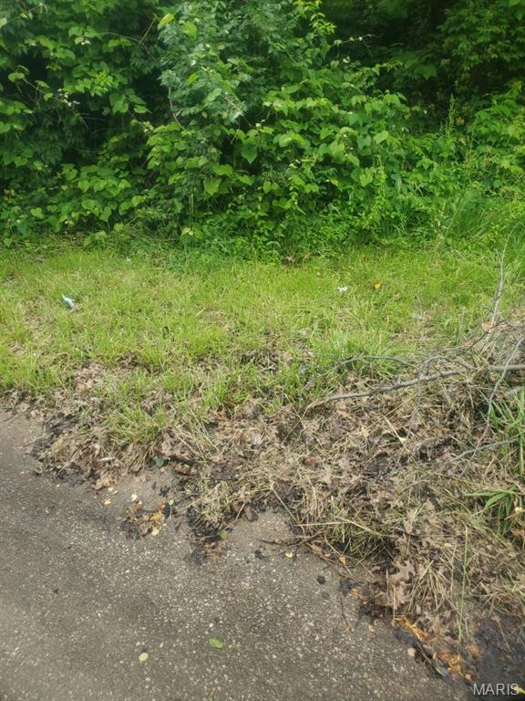 3905 Max-Weich Place Florissant, MO 63033 - Photo 2 of 4