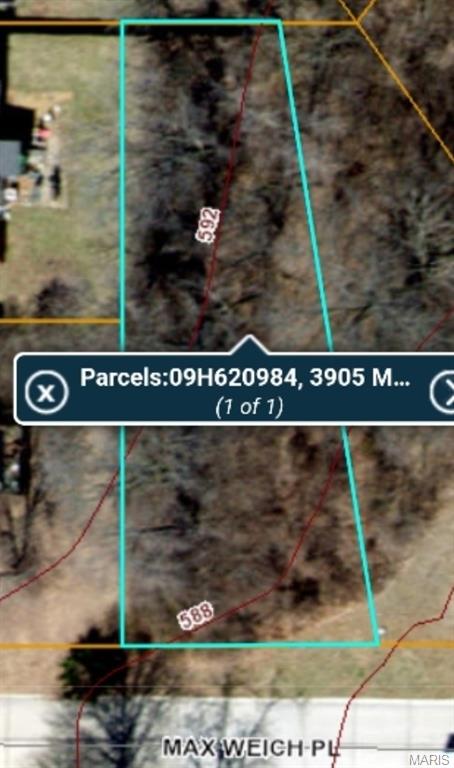 3905 Max-Weich Place Florissant, MO 63033 - Photo 4 of 4