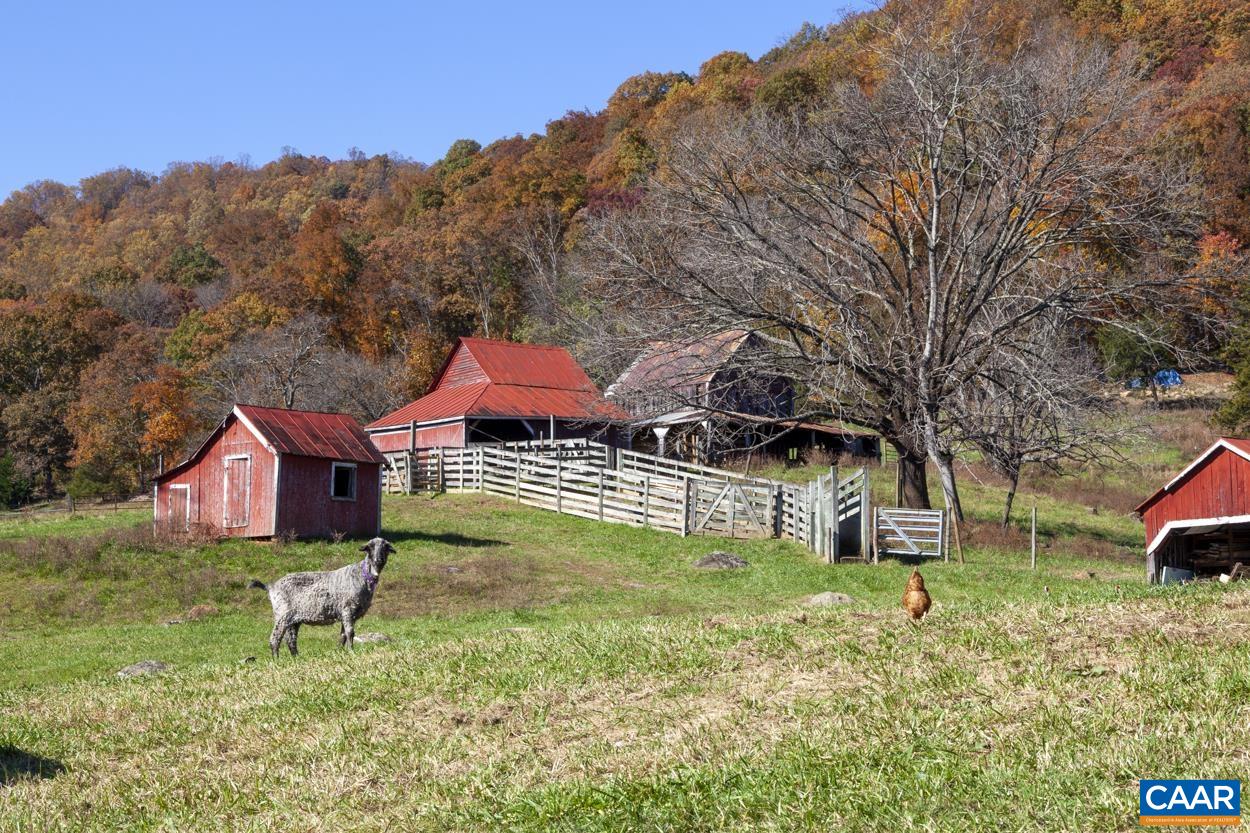 389 Farmview Road Stanardsville, VA 22973 - Photo 56 of 60 Gallery Image 56