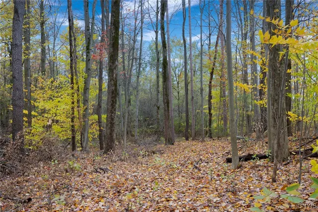 $125,000 | 30 Calemad Drive, Sennett, NY 13021