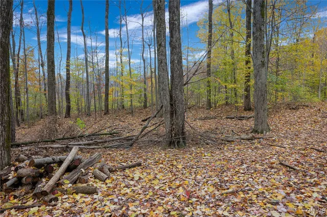 $125,000 | 30 Calemad Drive, Sennett, NY 13021