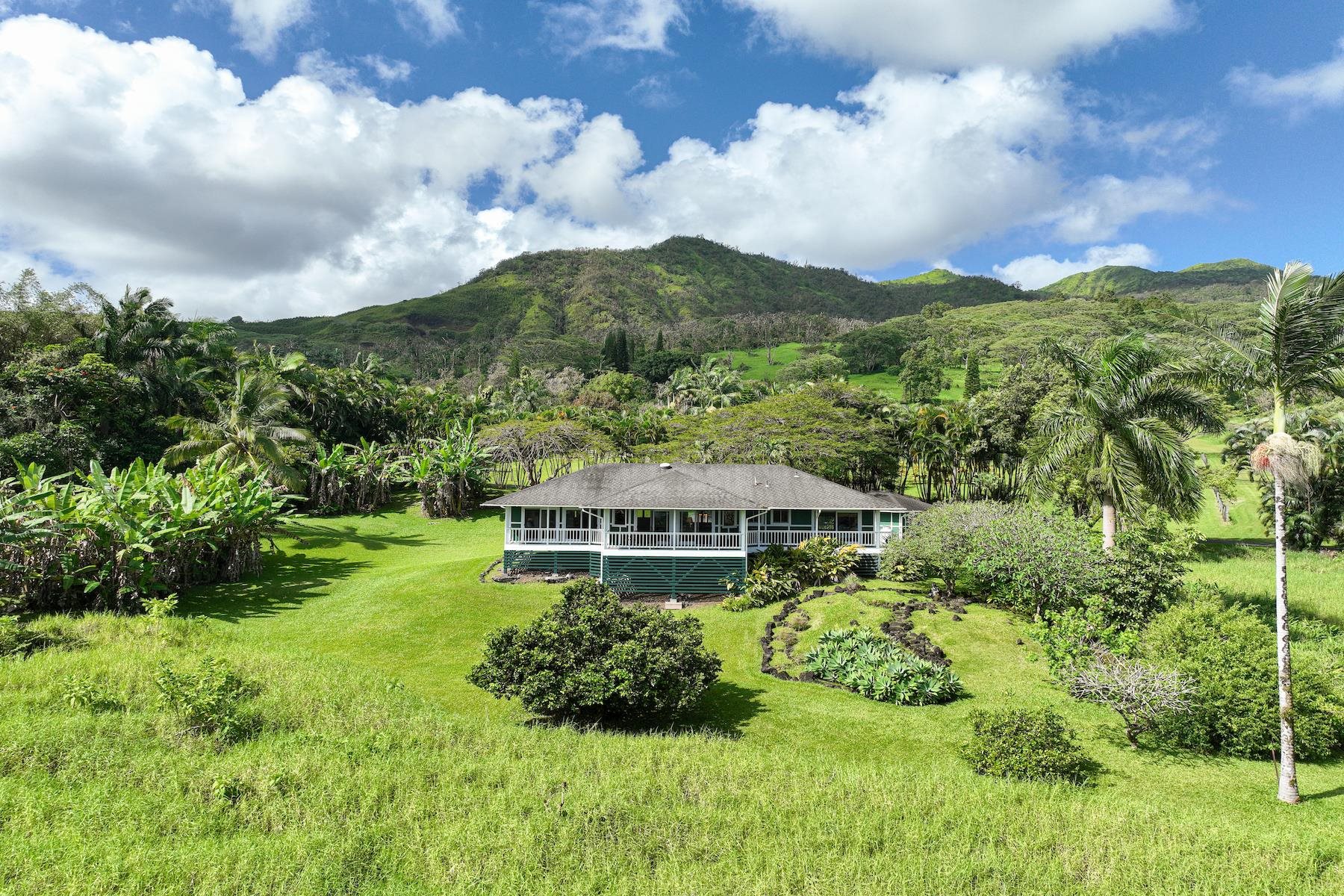 181 Kalo Road Hana, HI 96713 - Photo 5 of 32