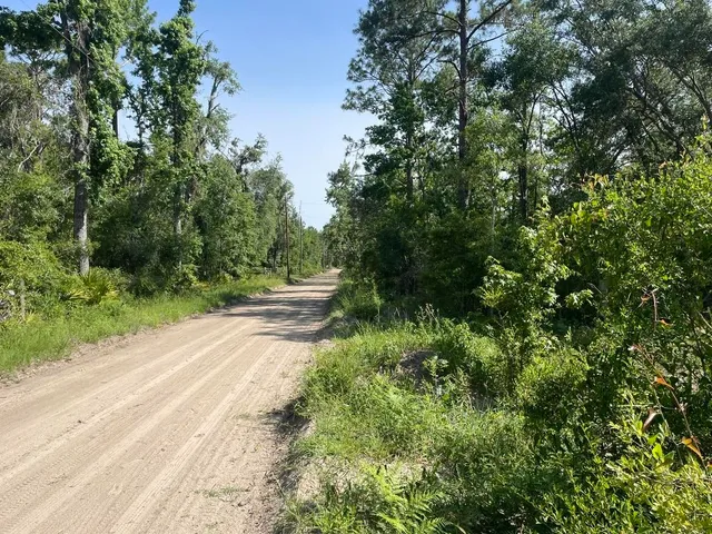 $18,000 | Lot 63 Northwest 21st Place, Jasper, FL 32052