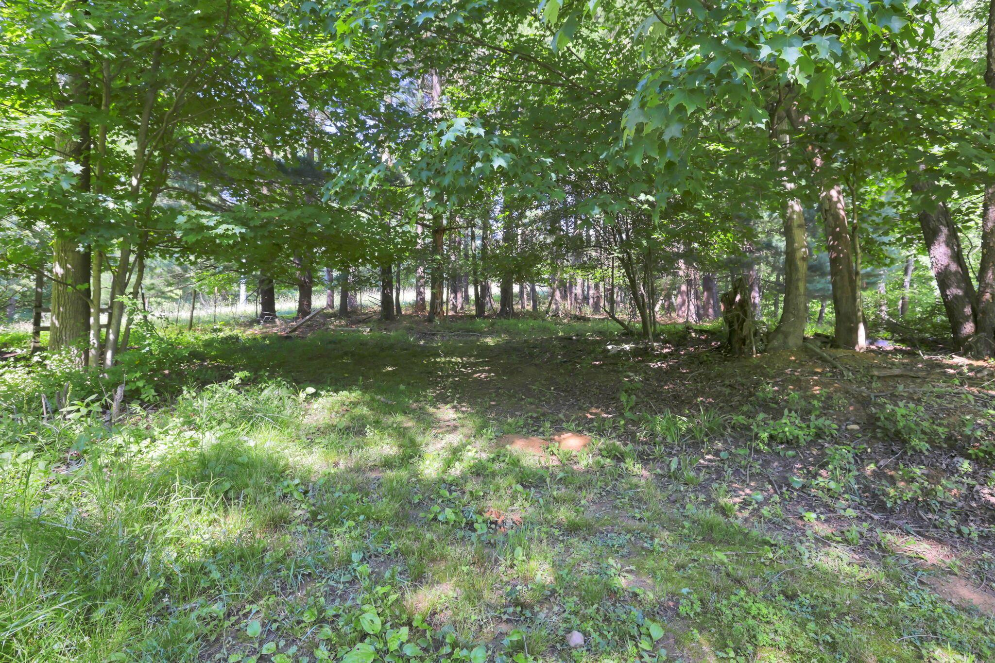 12470 Houdeshell Road Newark, OH 43055 - Photo 36 of 42