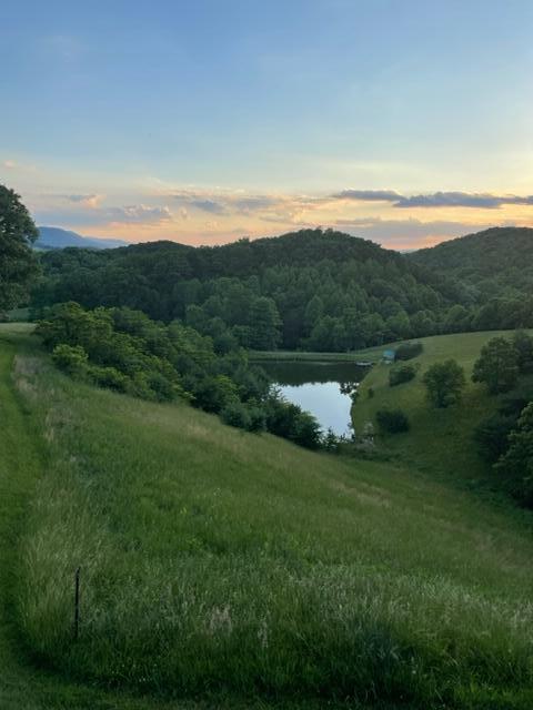 1571 Green Valley Road Peterstown, WV 24963 - Photo 19 of 112 Gallery Image 19