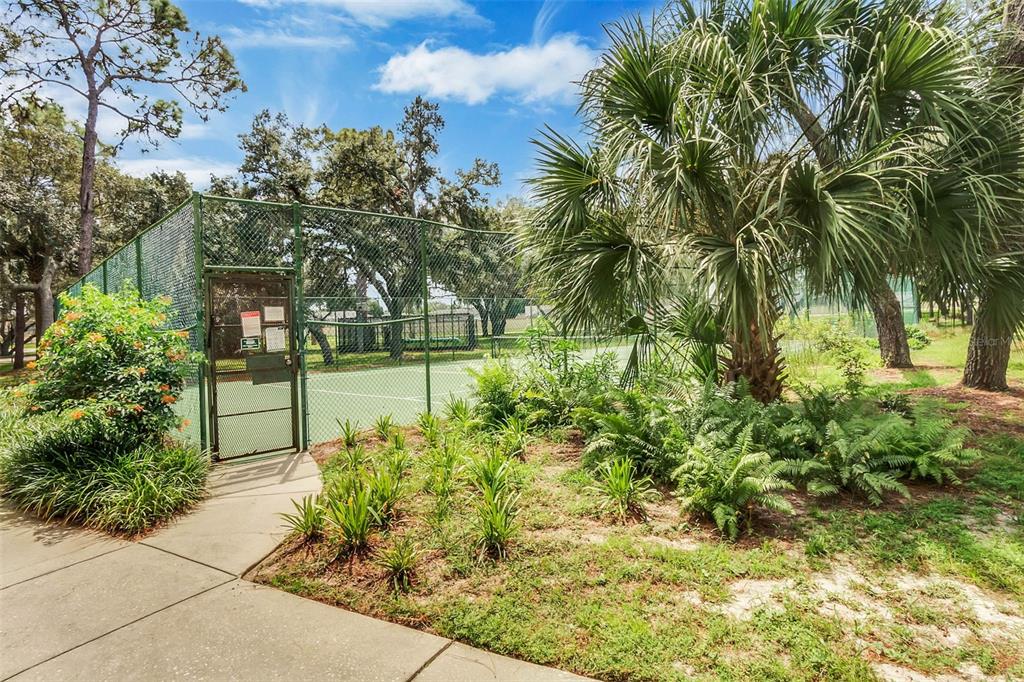 1070 Hali Ridge Court Kissimmee, FL 34747 - Photo 22 of 36 a view of a garden with plants