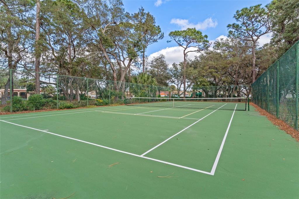 1070 Hali Ridge Court Kissimmee, FL 34747 - Photo 27 of 36 a view of a tennis court