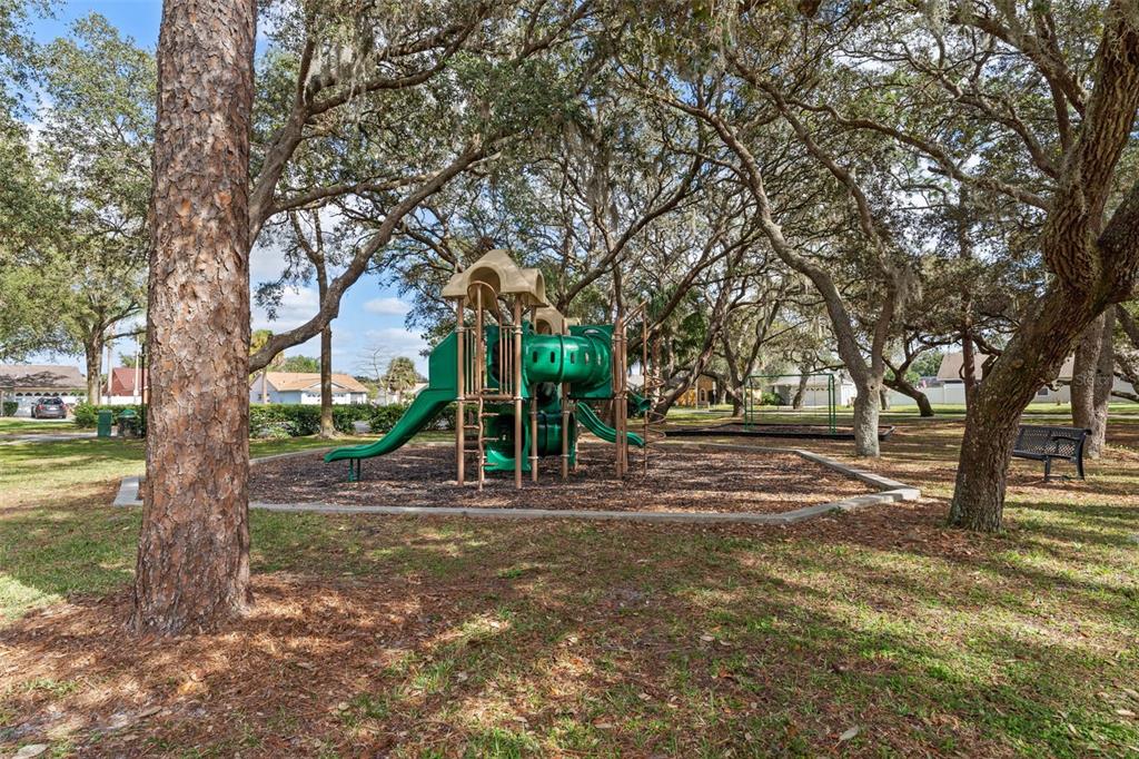 1070 Hali Ridge Court Kissimmee, FL 34747 - Photo 30 of 36