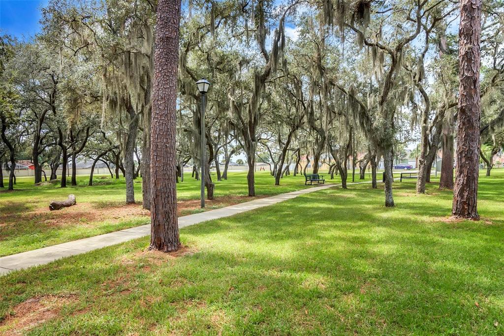 1070 Hali Ridge Court Kissimmee, FL 34747 - Photo 32 of 36 a yard with lots of green space and trees