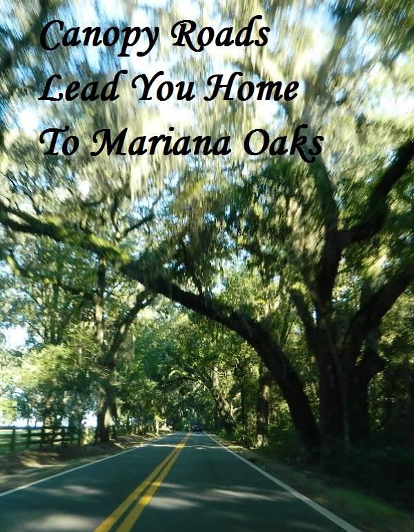 2-e Williams Road Tallahassee, FL 32311 - Photo 1 of 25 Gallery Image 1