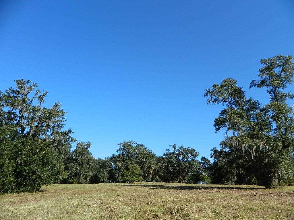 2-e Williams Road Tallahassee, FL 32311 - Photo 13 of 25 Gallery Image 13
