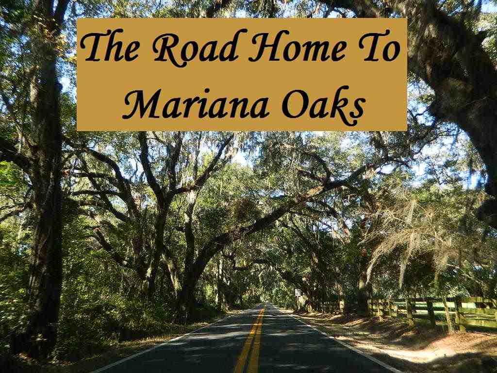 2-e Williams Road Tallahassee, FL 32311 - Photo 2 of 25 Gallery Image 2