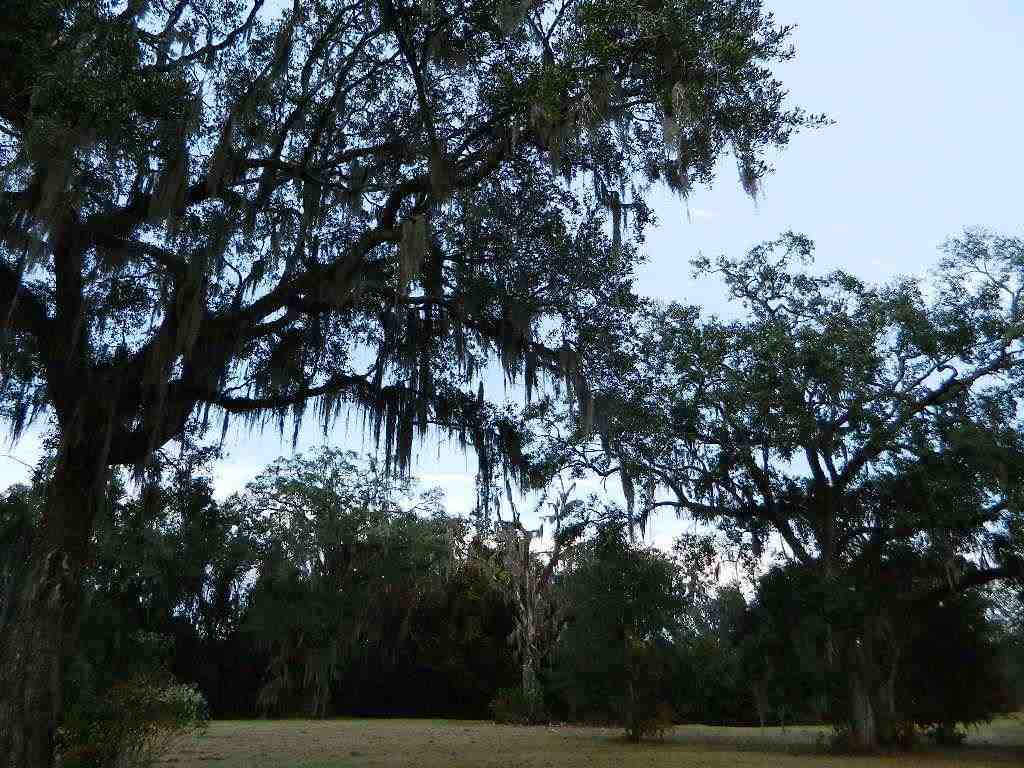 2-e Williams Road Tallahassee, FL 32311 - Photo 4 of 25 Gallery Image 4