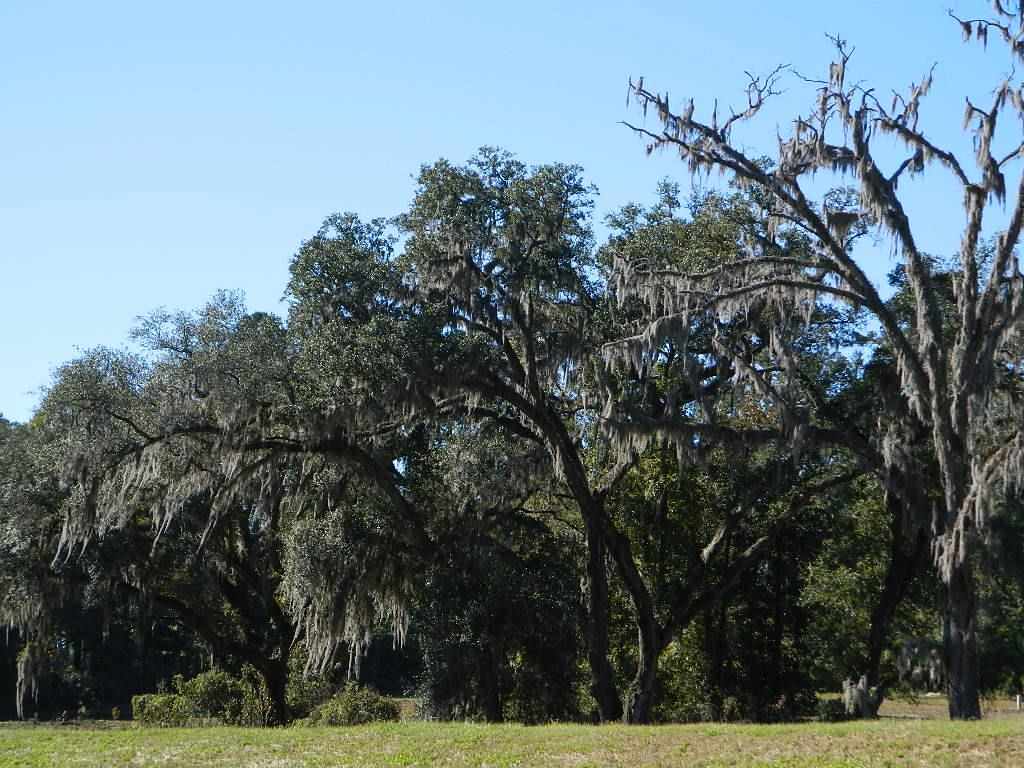 2-e Williams Road Tallahassee, FL 32311 - Photo 7 of 25 Gallery Image 7