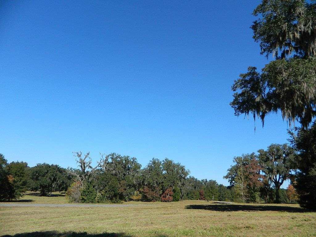 2-e Williams Road Tallahassee, FL 32311 - Photo 10 of 25 Gallery Image 10