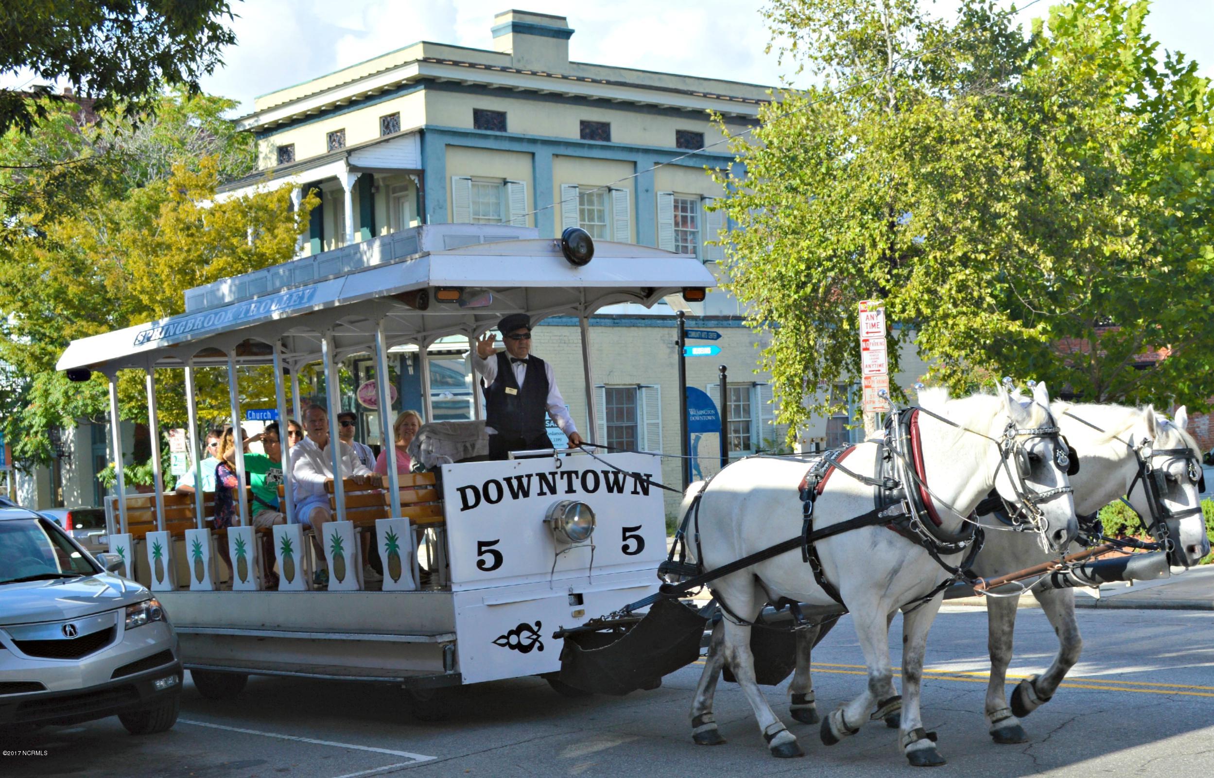 213 Bretonshire Road Wilmington, NC 28405 - Photo 24 of 26 horse trolley