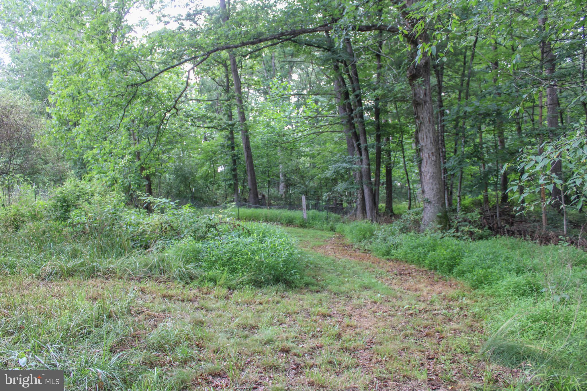 4547 Alum Springs Road Edinburg, VA 22824 - Photo 48 of 52 Gallery Image 48