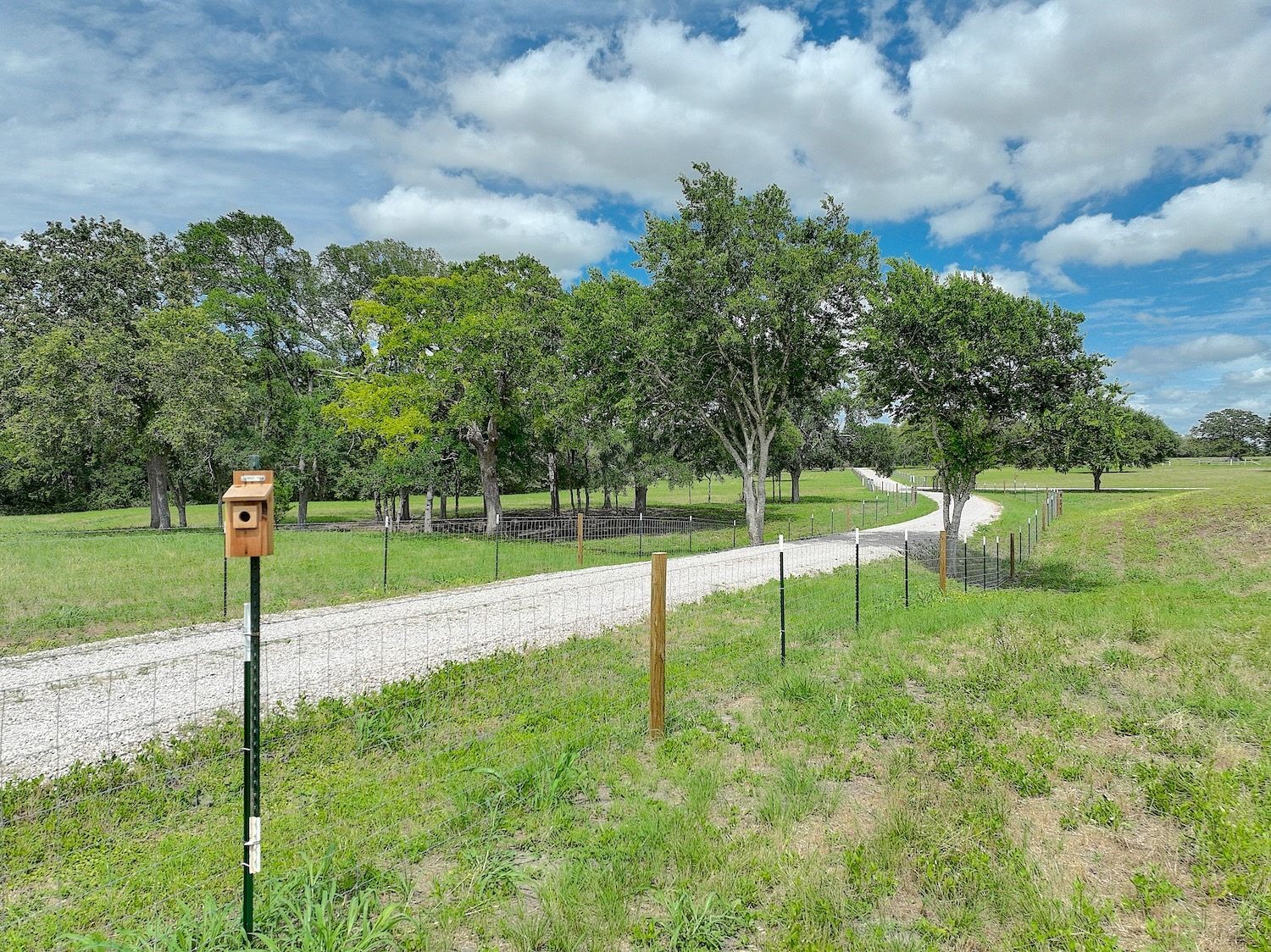 1928 Koether Road Carmine, TX 78932 - Photo 36 of 49 Entry roadway showing the blue bird houses, new rock driveway with new fencing