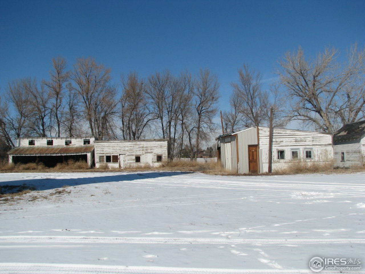 8381 East County Line Road Longmont, CO 80504 - Photo 7 of 18 a street view with large trees