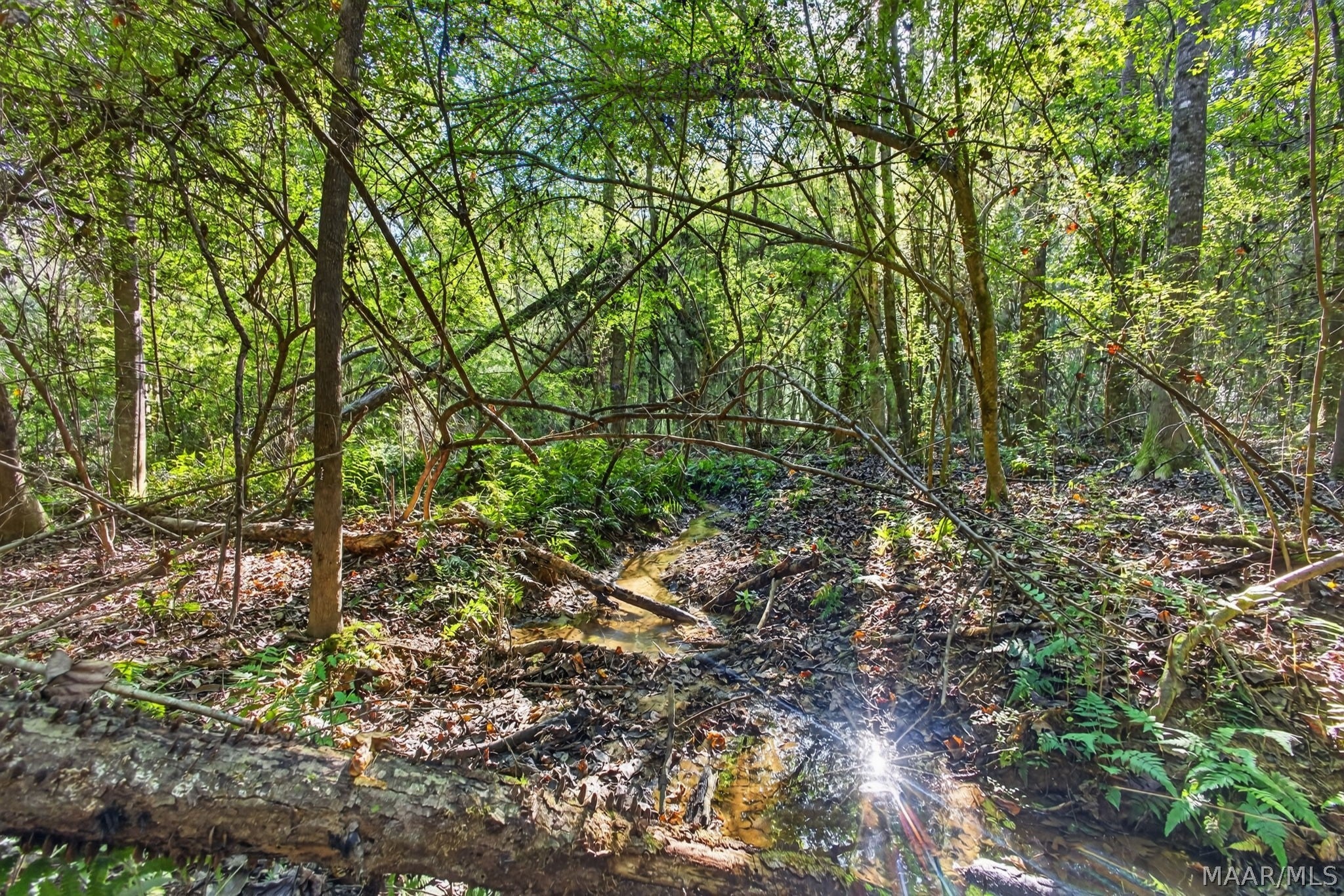 764 Racetrack Road Wetumpka, AL 36092 - Photo 29 of 34 Gallery Image 29