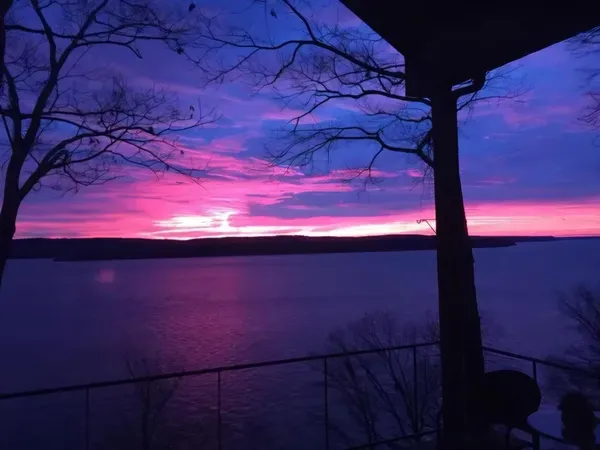 $989,000 | 60 Wildfern Lane, Counce, TN 38326