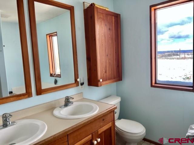 64130 Peach Valley Road Crawford, CO 81415 - Photo 19 of 33 a bathroom with a toilet a sink and a mirror