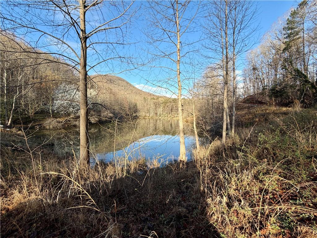 1565 Shoal Creek Road Cleveland, GA 30528 - Photo 1 of 38 a backyard of a house with lots of green space