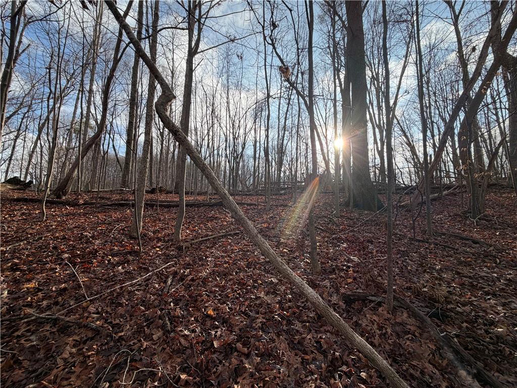 1565 Shoal Creek Road Cleveland, GA 30528 - Photo 11 of 38 a backyard of a house with lots of green space