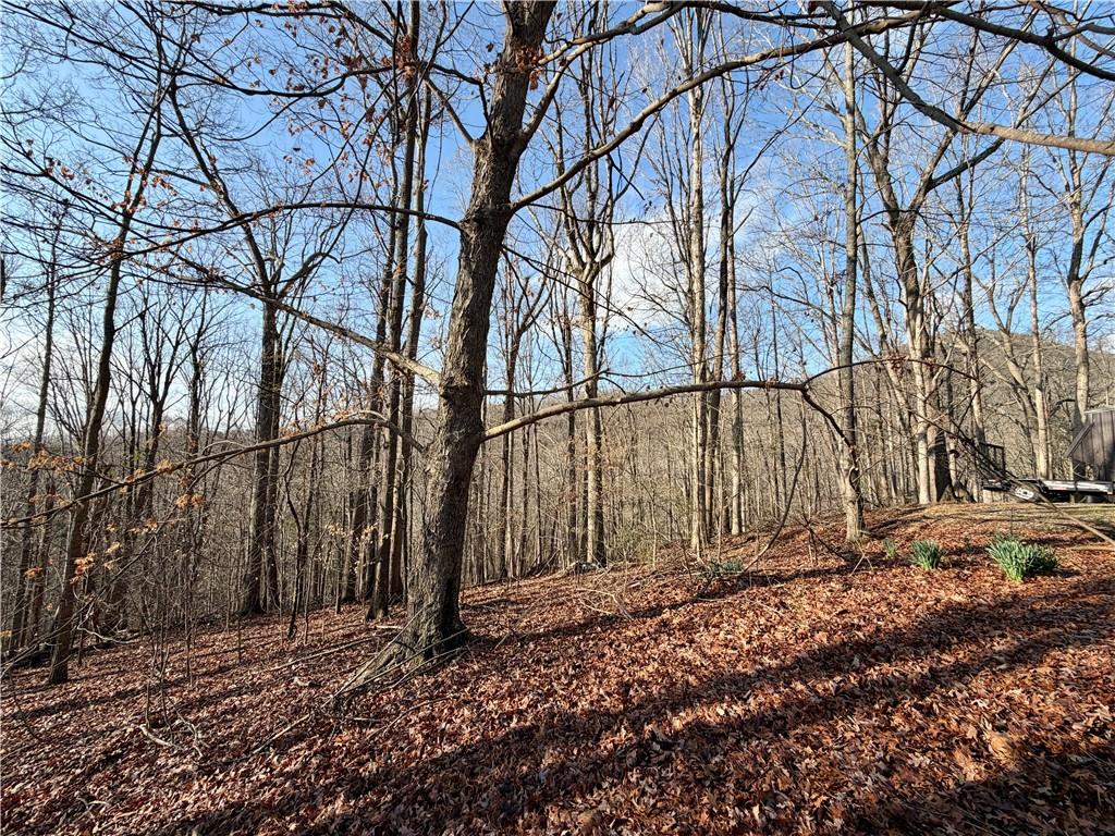 1565 Shoal Creek Road Cleveland, GA 30528 - Photo 12 of 38 a view of a backyard of the house