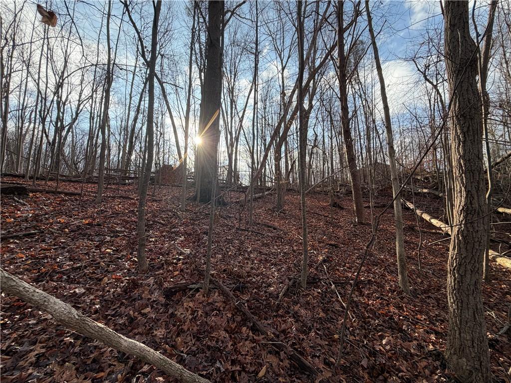 1565 Shoal Creek Road Cleveland, GA 30528 - Photo 13 of 38 a backyard of a house with lots of green space