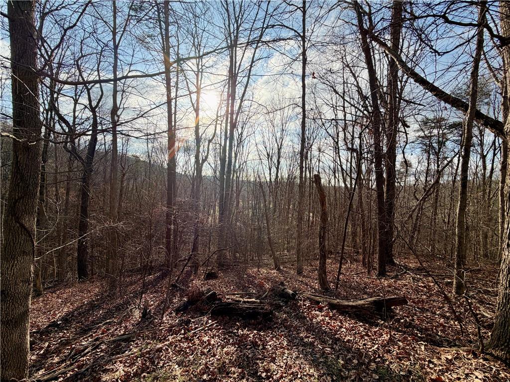1565 Shoal Creek Road Cleveland, GA 30528 - Photo 14 of 38 a view of a backyard