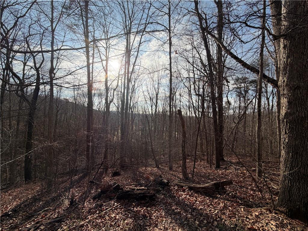 1565 Shoal Creek Road Cleveland, GA 30528 - Photo 15 of 38 a view of a backyard
