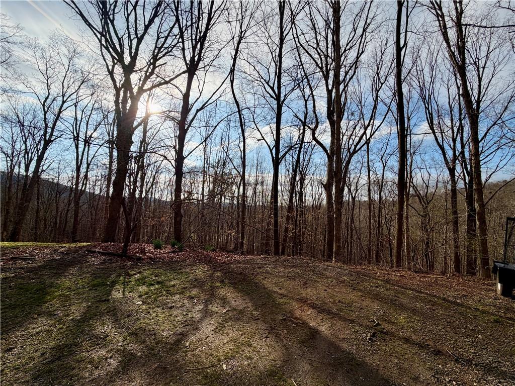 1565 Shoal Creek Road Cleveland, GA 30528 - Photo 16 of 38 a view of outdoor space with trees