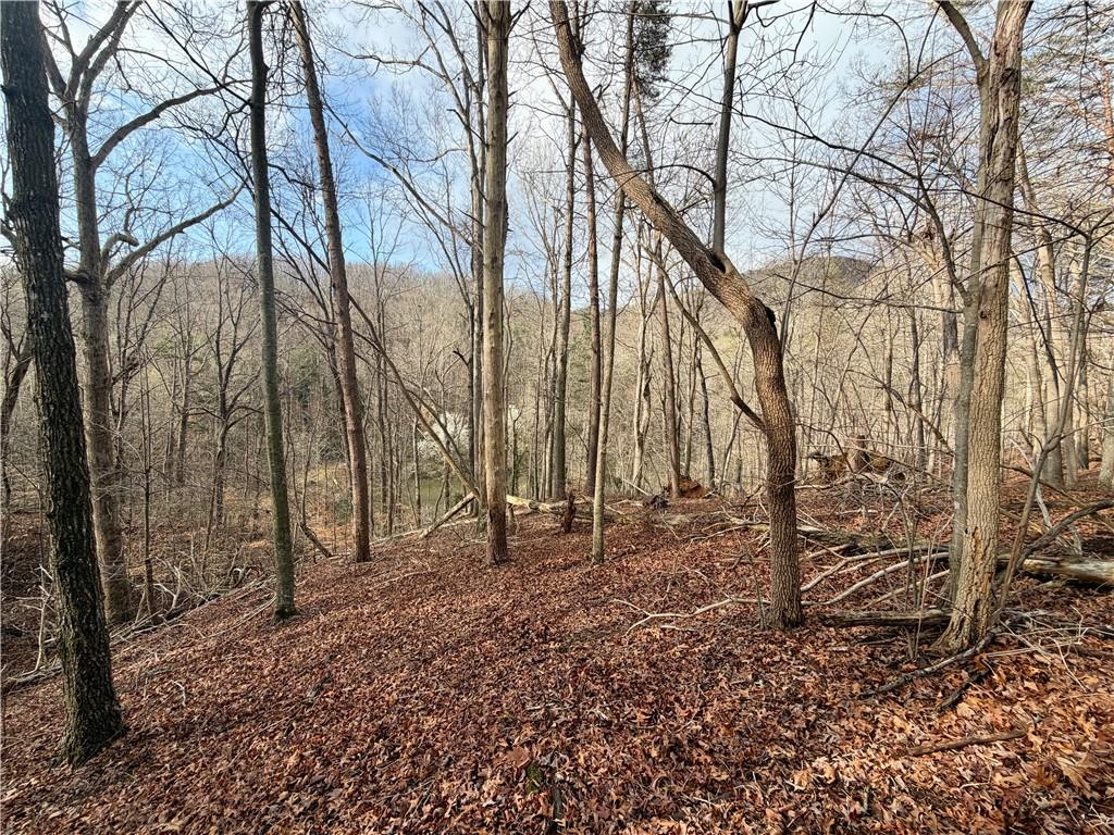 1565 Shoal Creek Road Cleveland, GA 30528 - Photo 17 of 38 a backyard of a house with lots of green space